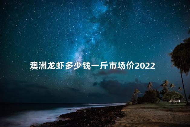 澳洲龙虾多少钱一斤市场价2022