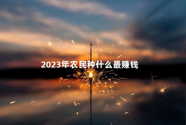 2023年农民种什么最赚钱