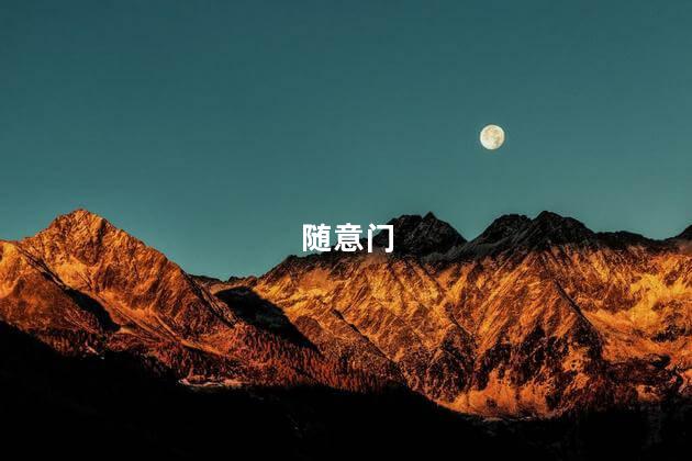 随意门