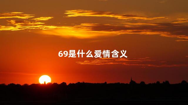 69是什么爱情含义