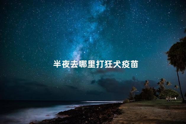 半夜去哪里打狂犬疫苗