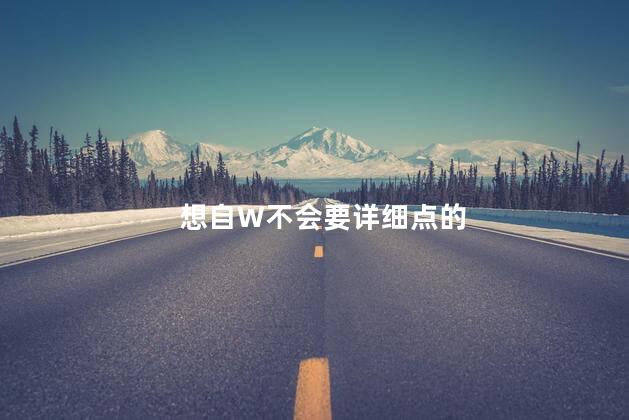 想自W不会要详细点的