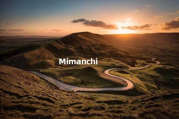 Mimanchi