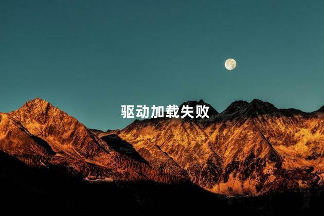 驱动加载失败