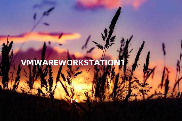 VMWAREWORKSTATION10序列号