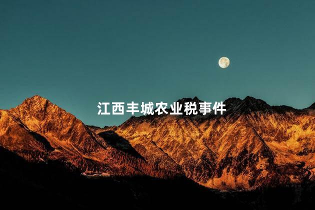 江西丰城农业税事件