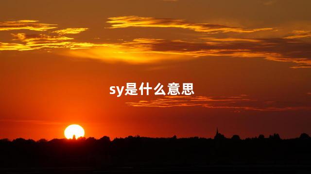 sy是什么意思