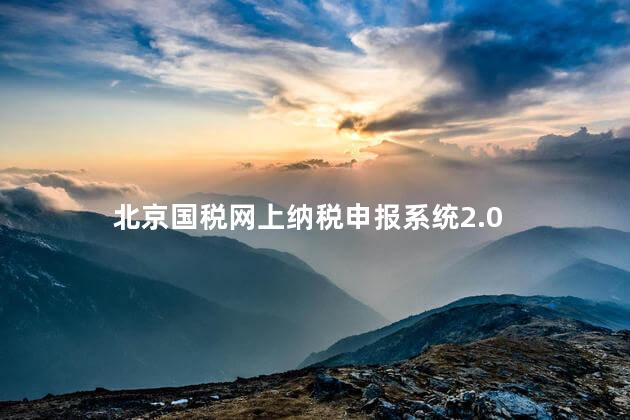 北京国税网上纳税申报系统2.0