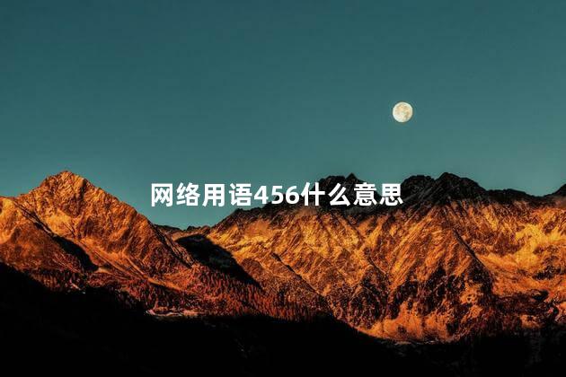 网络用语456什么意思