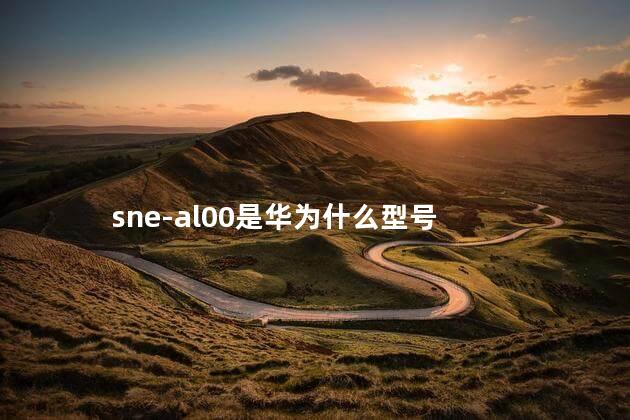 sne-al00是华为什么型号