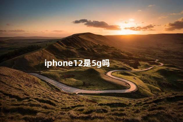 iphone12是5g吗