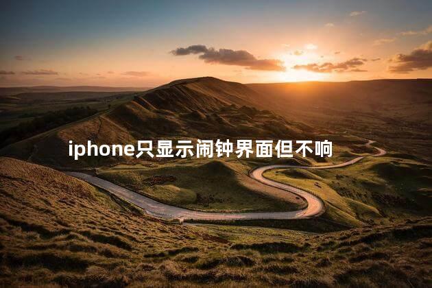 iphone只显示闹钟界面但不响