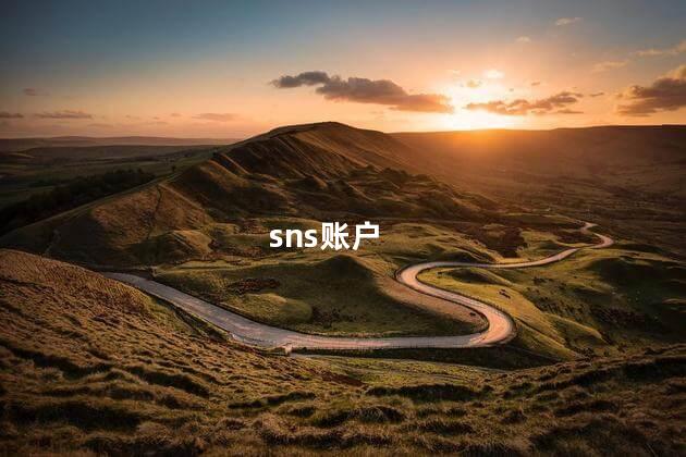 sns账户