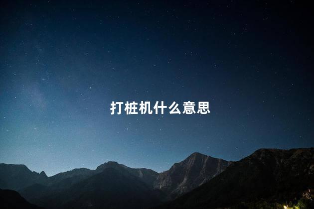 打桩机什么意思