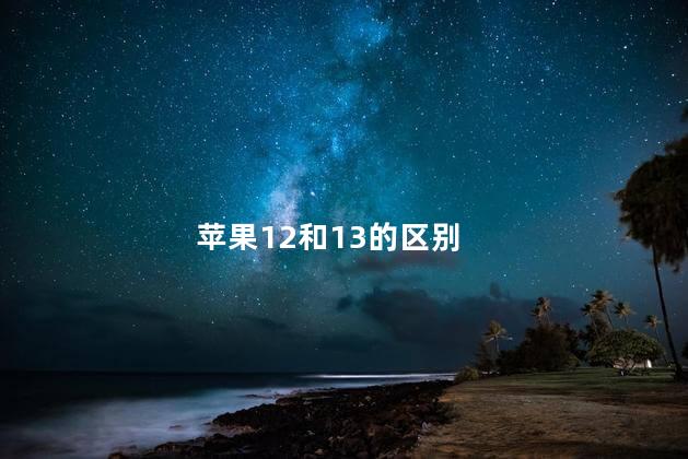 苹果12和13的区别