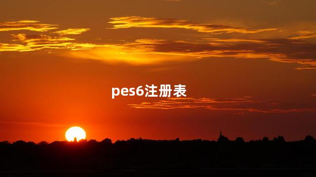 pes6注册表