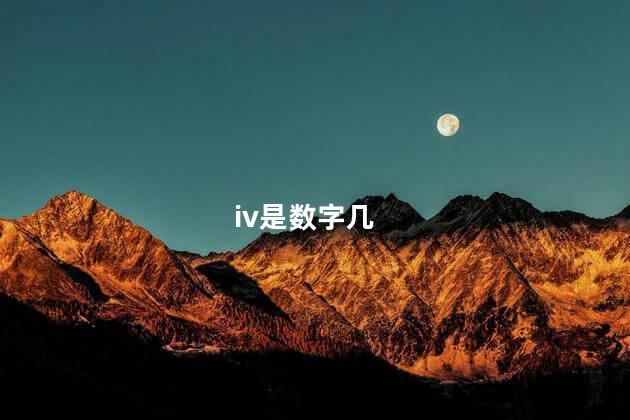 iv是数字几