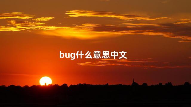 bug什么意思中文