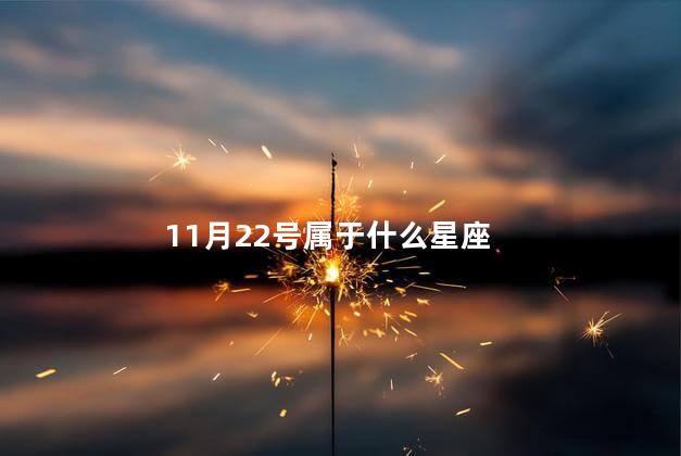 11月22号属于什么星座