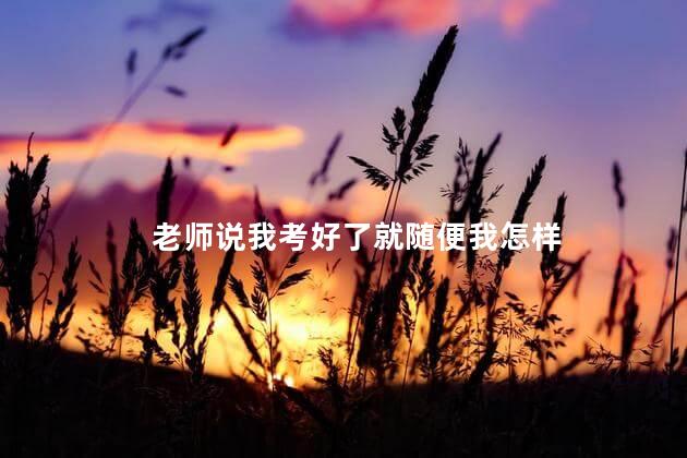 老师说我考好了就随便我怎样