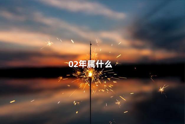 02年属什么