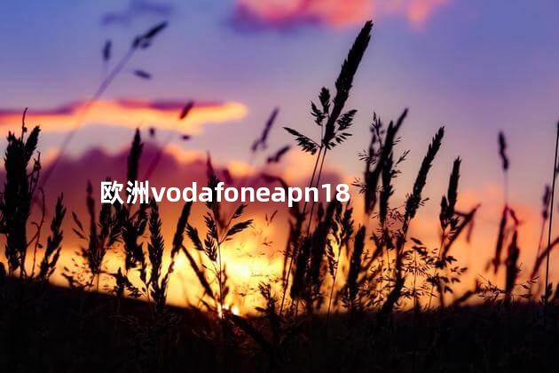 欧洲vodafoneapn18