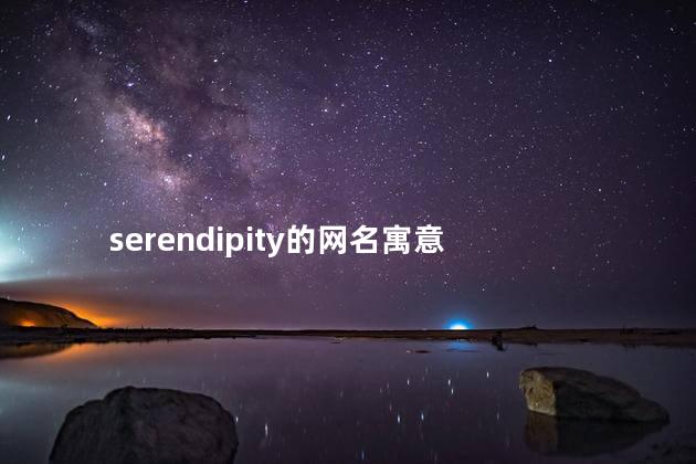 serendipity的网名寓意