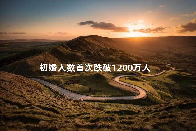 初婚人数首次跌破1200万人