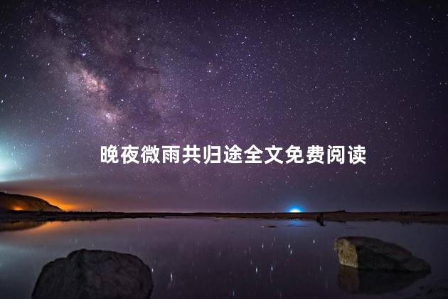 晚夜微雨共归途全文免费阅读