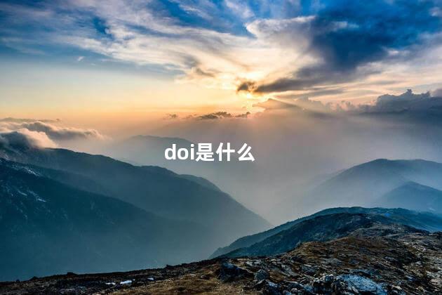 doi是什么