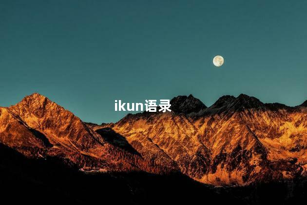 ikun语录