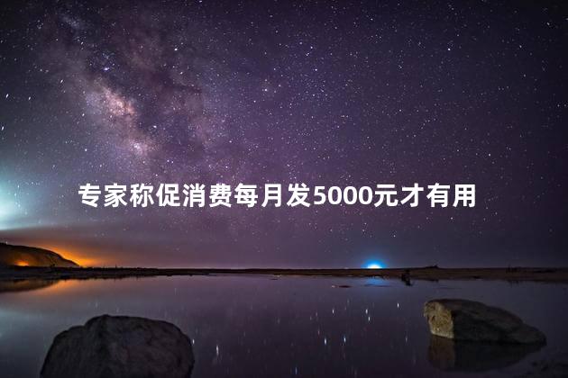 专家称促消费每月发5000元才有用