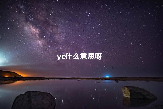 yc什么意思呀