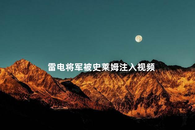 雷电将军被史莱姆注入视频