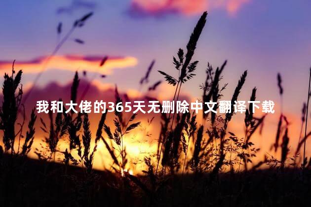 我和大佬的365天无删除中文翻译下载