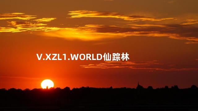 V.XZL1.WORLD仙踪林