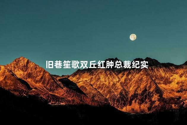 旧巷笙歌双丘红肿总裁纪实