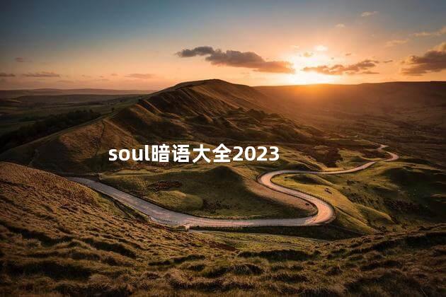 soul暗语大全2023