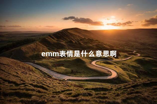 emm表情是什么意思啊